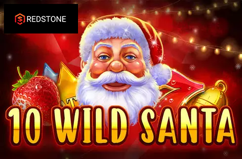 10 Wild Santa